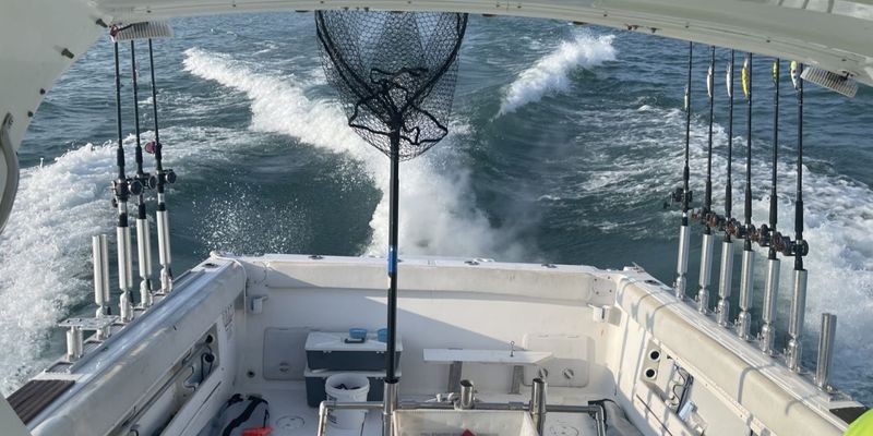Lake Erie Fishing Charters Fall Brawl or Walleye Slam Special | 7 Hour Charter Trip 